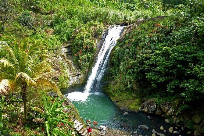 Full-Day Tour: Concord Waterfall, Chocolate Factory, Rum Distillery, Grand Etang - Key Points