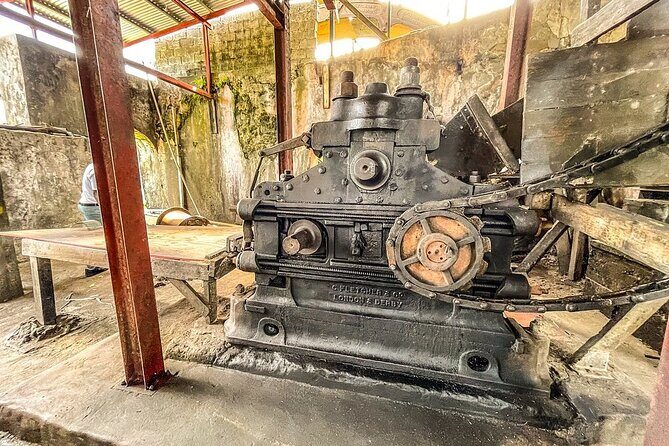 Full-Day Tour: Concord Waterfall, Chocolate Factory, Rum Distillery, Grand Etang - Who Should Consider This Tour?