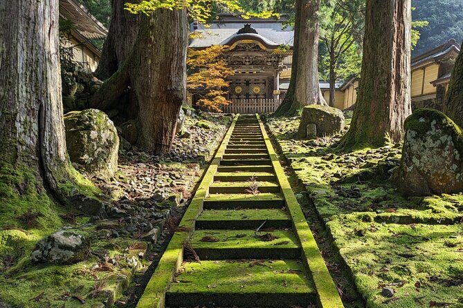 Full Day Tour Eiheiji Buddhist Temple and Fukui City Castle Town - Discovering Fukui: A Full Day of Culture, History, and Stunning Views