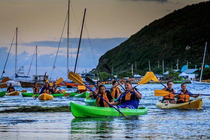 Full-Day Tour: El Yunque, Luquillo Beach, Bio Bay Night Kayaking - The Itinerary: What You Can Expect