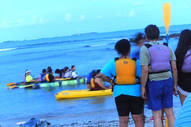 Full-Day Tour: El Yunque, Luquillo Beach, Bio Bay Night Kayaking - Frequently Asked Questions