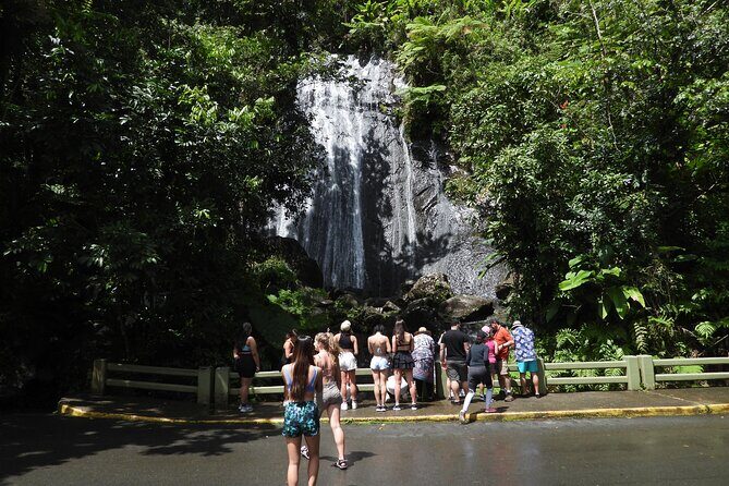 Full-Day Tour: El Yunque, Luquillo Beach, Bio Bay Night Kayaking - Final Thoughts