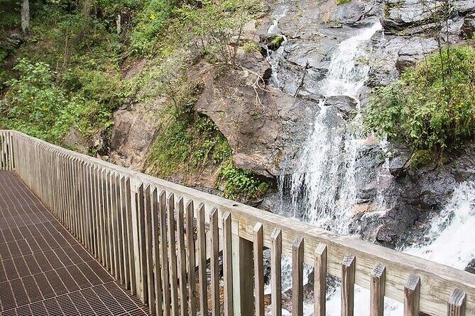 Full Day Tour from Atlanta to Amicalola Falls and Blue Ridge - Blue Ridge: A Charming Mountain Town