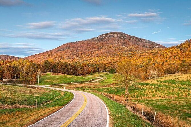 Full Day Tour from Atlanta to Amicalola Falls and Blue Ridge - Vogel State Park: Scenic and Family-Friendly