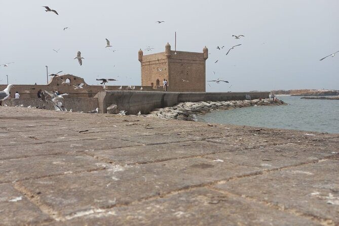 Full Day Tour From Marrakech to Essaouira - The Value of the Tour
