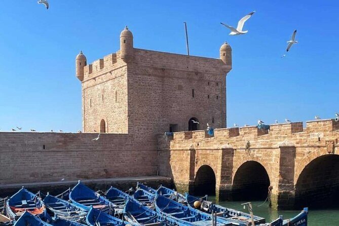 Full Day Tour From Marrakech To Essaouira Mogador - Exploring the Marrakech to Essaouira Full-Day Tour: An Honest Review