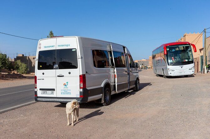 Full Day Tour from Marrakech to Kaskade Ouzod - Walking Through Olive Groves to the Argan Oil Cooperative