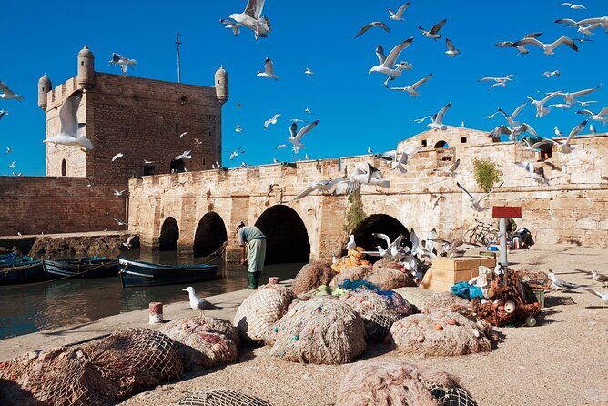 Full Day Tour from Marrakesh to Essaouira with Pickup - What the Tour Offers