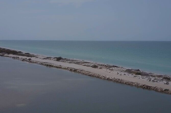 Full Day Tour from Tulum to Rio Lagartos - Who will love this tour?