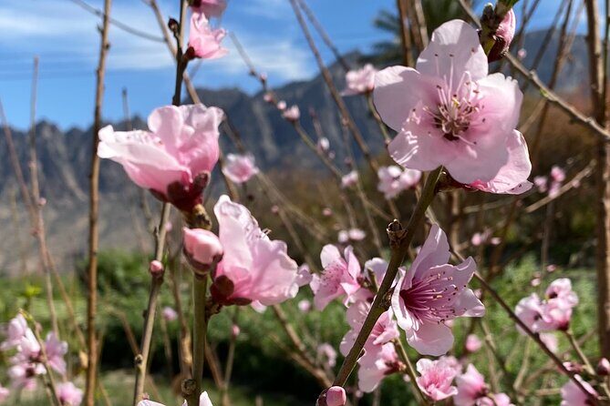 Full Day Tour from Wakan to Jebel Akhdar Trekking - Practical Details: What You Need to Know