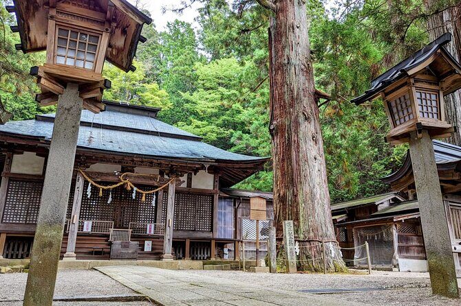 Full-Day Tour: Immerse in Takayama's History and Temples - Authentic Experiences and Why They Matter