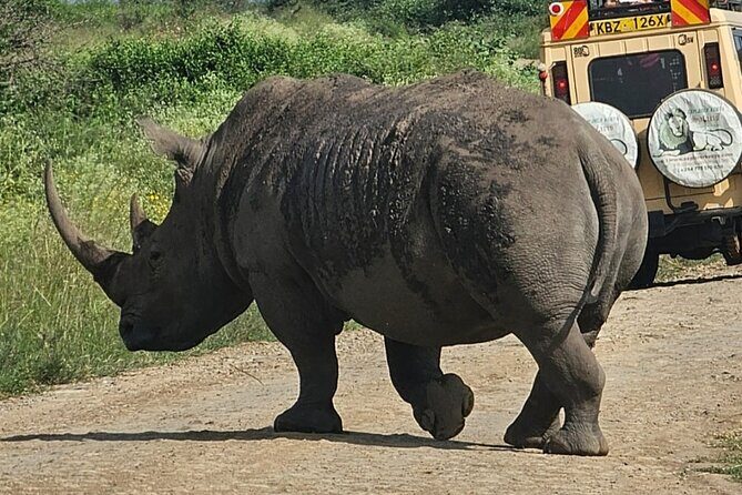 Full Day Tour in Amboseli National Park from Nairobi - Final Thoughts