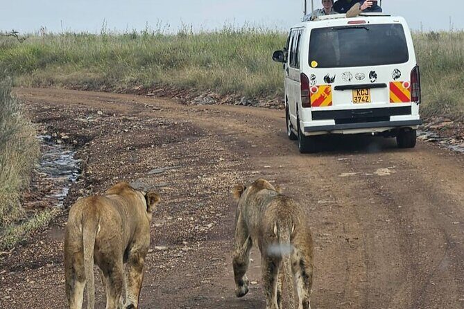 Full Day Tour in Amboseli National Park from Nairobi - FAQ