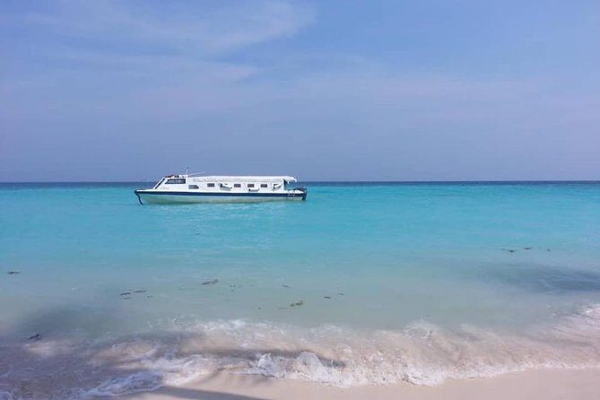 Full Day Tour in Mantanani - An In-Depth Look at the Mantanani Island Day Tour