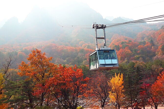 Full-Day Tour in Mt. Seorak & Nami (+Rail Bike Option) - An In-Depth Look at the Itinerary