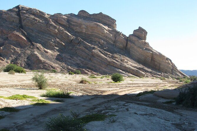 Full-Day Tour in Namib Desert from Swakopmund, Namibia - Who Should Consider This Tour?
