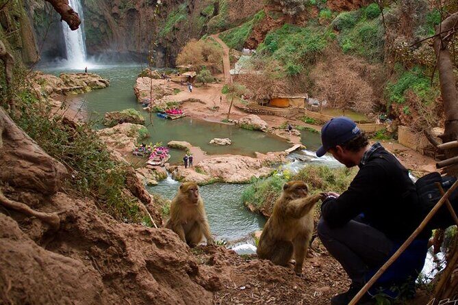 Full-Day Tour in Ouzoud Waterfalls from Marrakech with Pick Up - Frequently Asked Questions