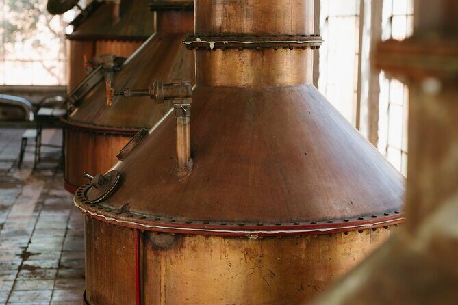 Full-Day Tour in Tequila factory and Cantaritos el Gúero - The Experience in Detail