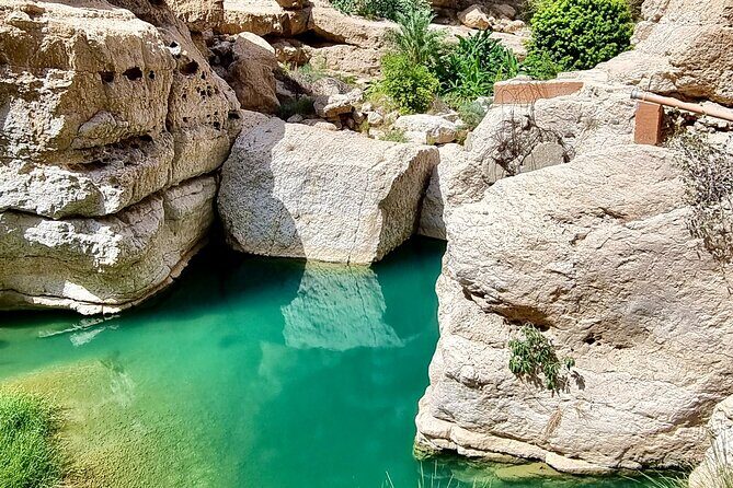 Full Day Tour in Wadi Shab - Who Should Sign Up?