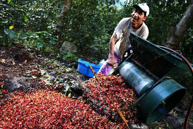 Full-Day Tour Llano Grande Waterfalls and Coffee Plantation in Huatulco! - Practical Details
