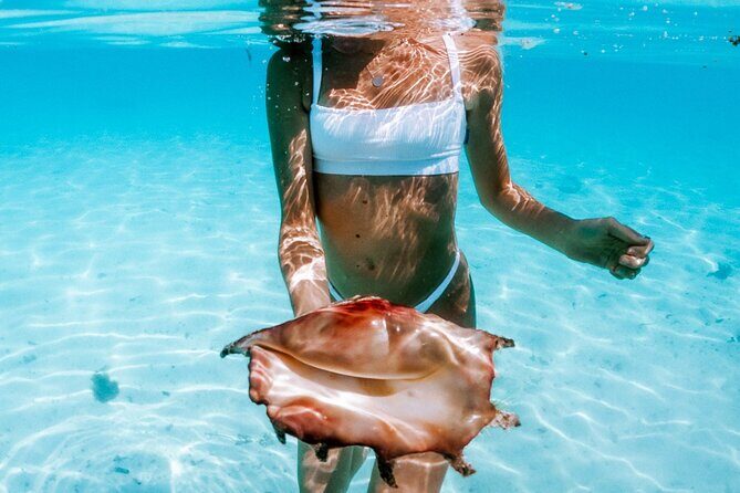Full Day Tour : Moorea Snorkeling & Sunset Cruise on a Catamaran named Taboo - FAQ