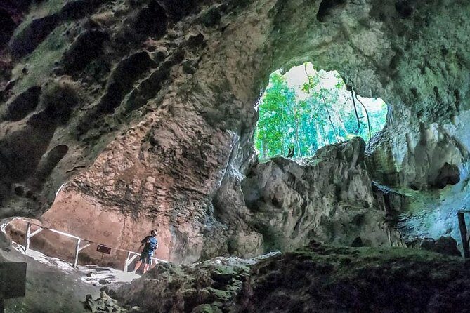 Full-Day Tour of Cayo Levantado and Los Haitises National Park - Practical Details: What to Expect