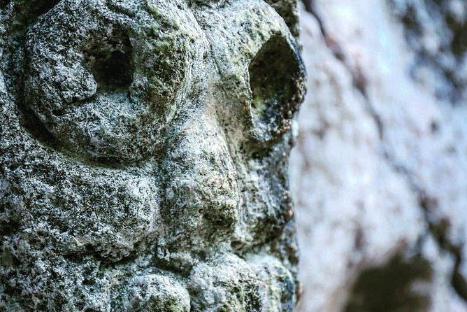 Full-Day Tour of Cayo Levantado and Los Haitises National Park - Authenticity and Traveler Feedback