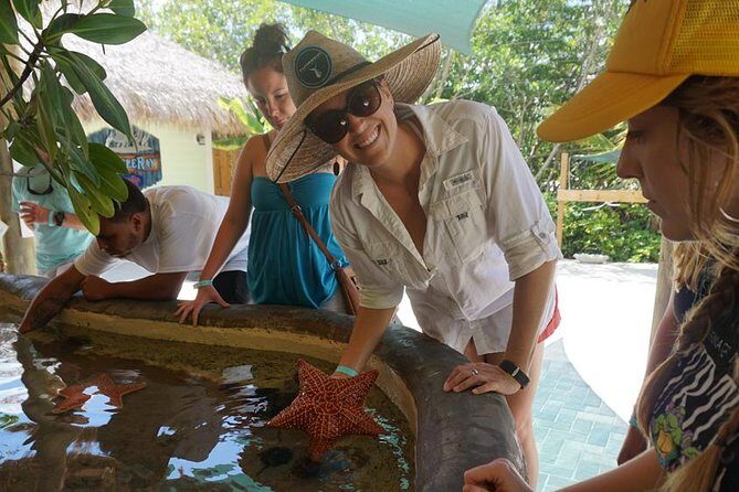 Full-Day Tour of Florida Keys Including Aquarium Encounters from Key West - What Travelers Say