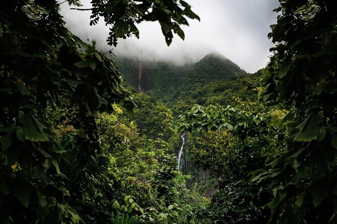 Full Day Tour of Guadeloupe - Final Thoughts: Who Will Love This Tour?