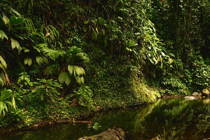 Full Day Tour of Guadeloupe - FAQ