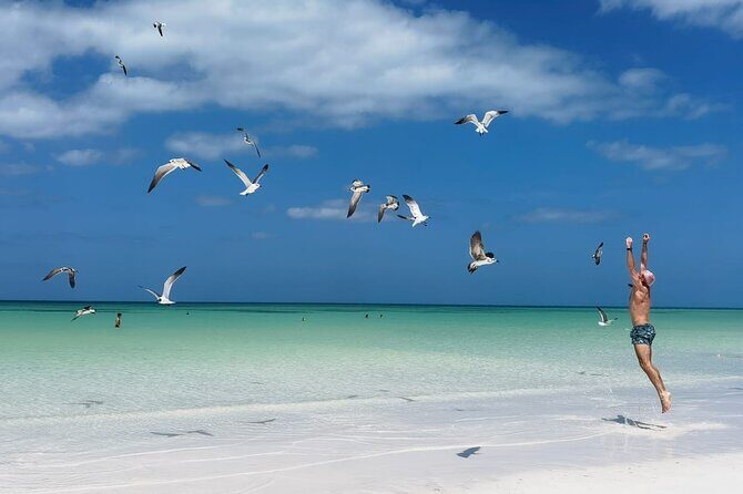 Full Day Tour of Isla Holbox and Isla Pasión with Cenote - An In-Depth Look at the Itinerary