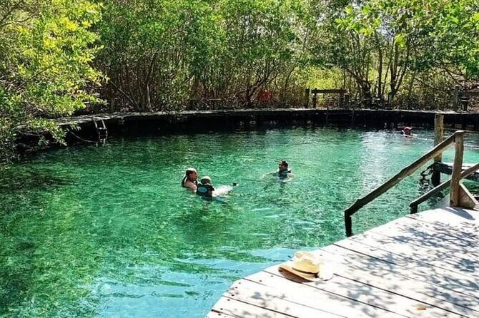 Full Day Tour of Isla Holbox and Isla Pasión with Cenote - Who Is This Tour Best For?