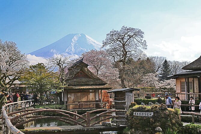 Full Day Tour of Mount Fuji and Hakone from Tokyo - The Itinerary in Detail