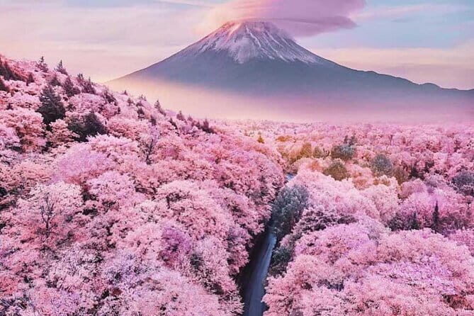 Full Day Tour of Mount Fuji and Hakone from Tokyo - Who Will Love This Tour?