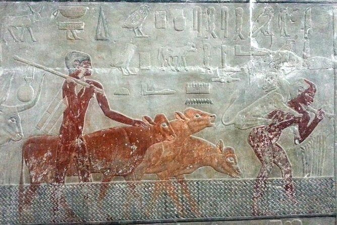 Full-day Tour of Saqqara & Dahshur Pyramids with Lunch - Who Should Consider This Tour?