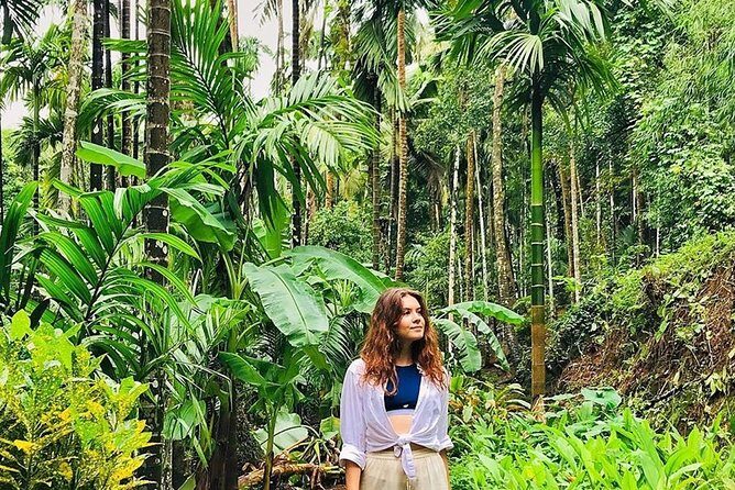 Full-Day Tour Old Goa Dudhsagar Falls and Spice Plantation - Final Verdict: Who Will Love This Tour?