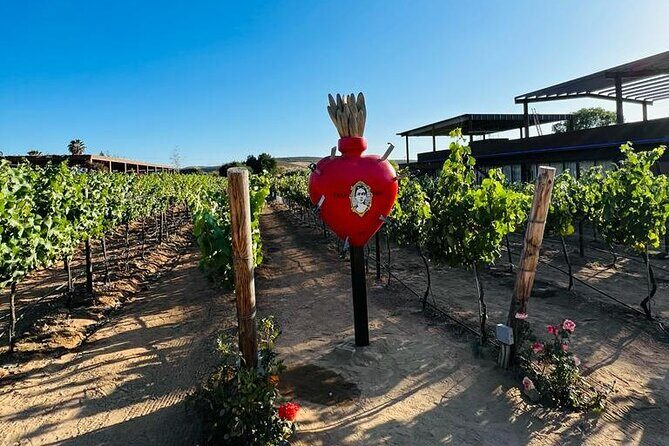 Full Day Tour on the Wine Route, Valle de Guadalupe - Key Points