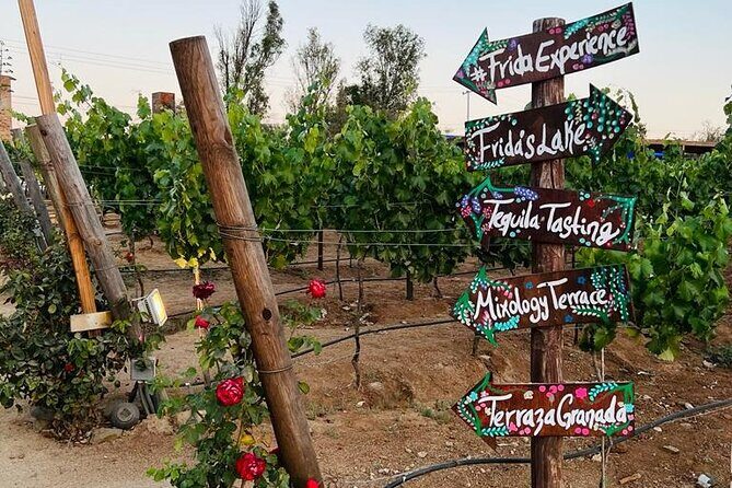 Full Day Tour on the Wine Route, Valle de Guadalupe - FAQ