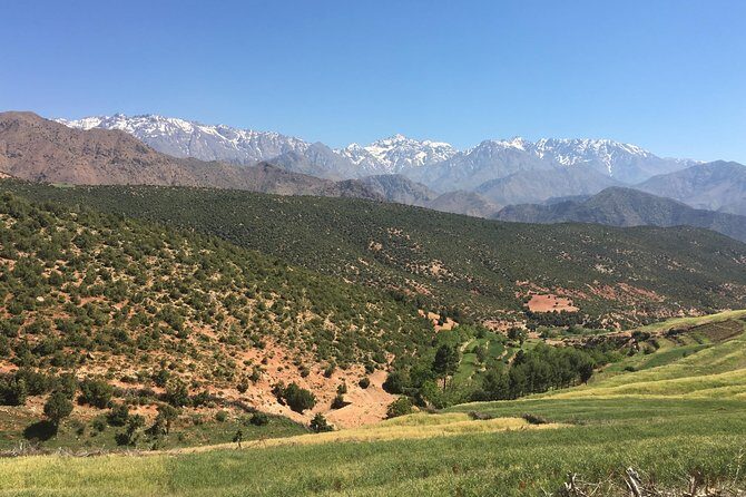 Full day tour Ourika Valley And Atlas Mountains - What Travelers Say