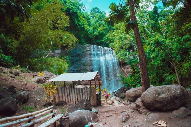 Full Day Tour - Popular Sites Grenada, Belmont Estate, Rain Forest and More - Introduction to the Full-Day Grenada Tour