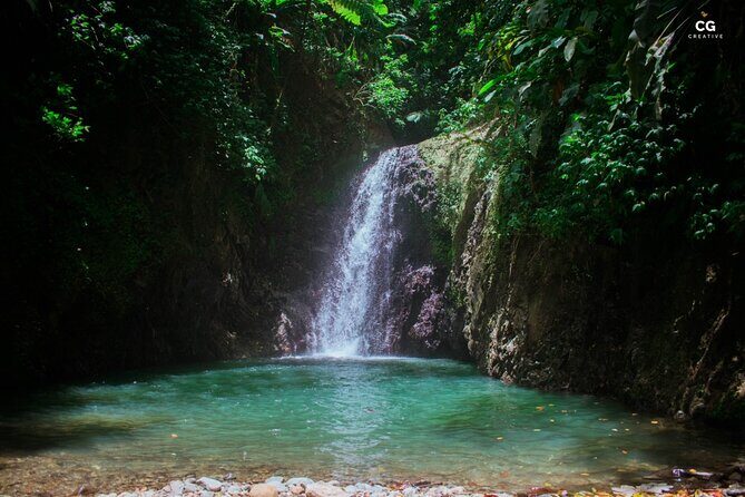 Full Day Tour - Popular Sites Grenada, Belmont Estate, Rain Forest and More - Grand Etang National Park