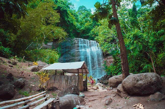 Full Day Tour - Popular Sites Grenada, Belmont Estate, Rain Forest and More - Annandale Falls