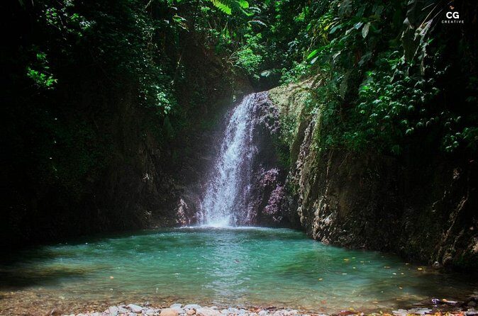 Full Day Tour - Popular Sites Grenada, Belmont Estate, Rain Forest and More - Grand Anse Craft & Spice Market