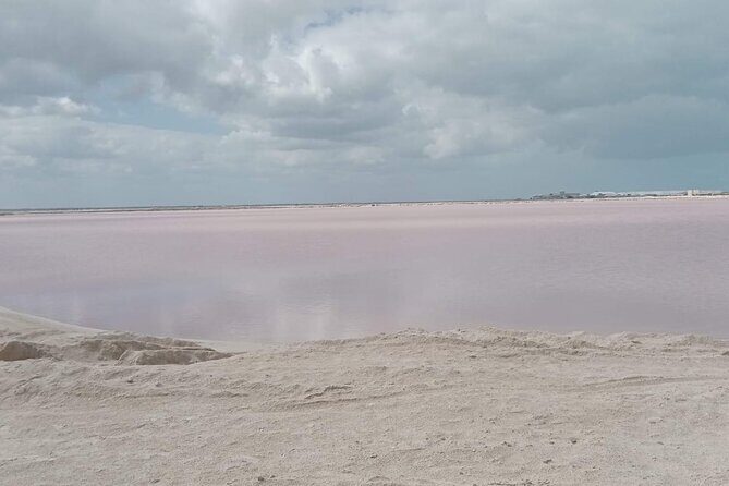 Full Day Tour Río Lagartos with Pickup from Mérida 7 AM - Introduction: Why This Tour Might Be Just Right for You
