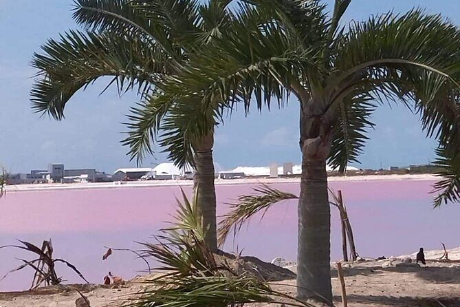 Full Day Tour Río Lagartos with Pickup from Mérida 7 AM - The Sum Up: Is This Tour Worth Your Time?