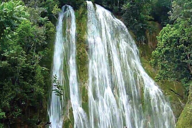 Full day tour Samana, Las Terrenas and El Limón from Santo Domingo - Who Should Consider This Tour?