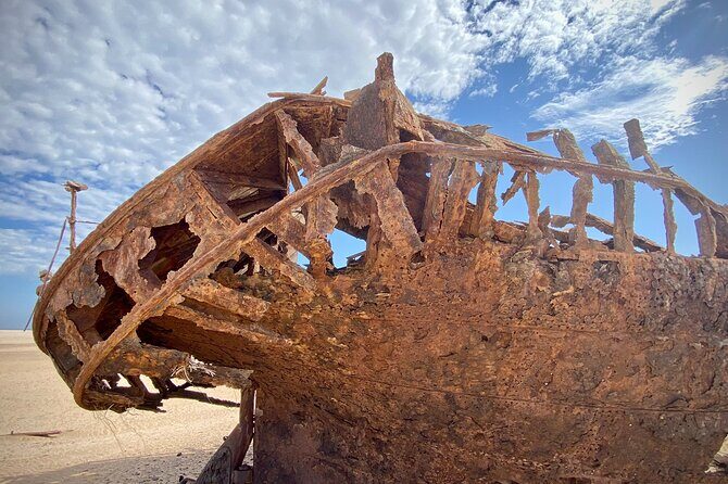 Full Day Tour Shipwreck Sandwich Harbour Adventure - Who Will Love This Tour?