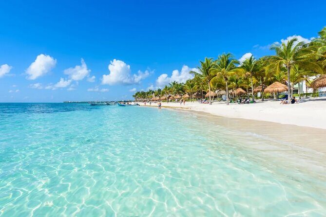 Full Day Tour Snorkeling with Turtles in Akumal, Tulúm and Playa del Carmen - Authentic Experiences and Traveler Insights