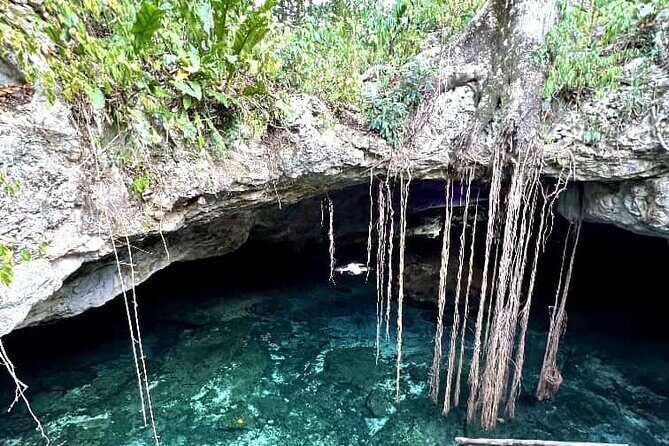Full Day Tour Snorkeling with Turtles in Akumal, Tulúm and Playa del Carmen - Practical Tips for Your Day