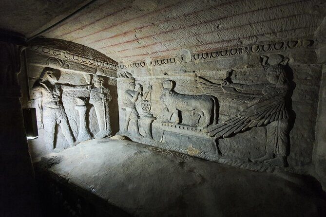 Full Day Tour To Alexandria From Cairo - The Alexandria Library: A Cultural Beacon